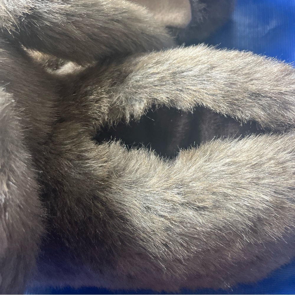Peter Rabbit gray Slippers - Picture 10 of 13